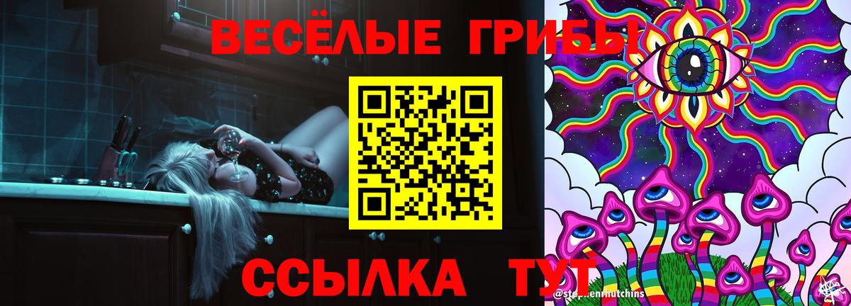 Белореченск  Псилоцибиновые грибы Psilocybine cubensis  Галлюциногенные грибы GOLDEN TEACHER  Вход с VPN 